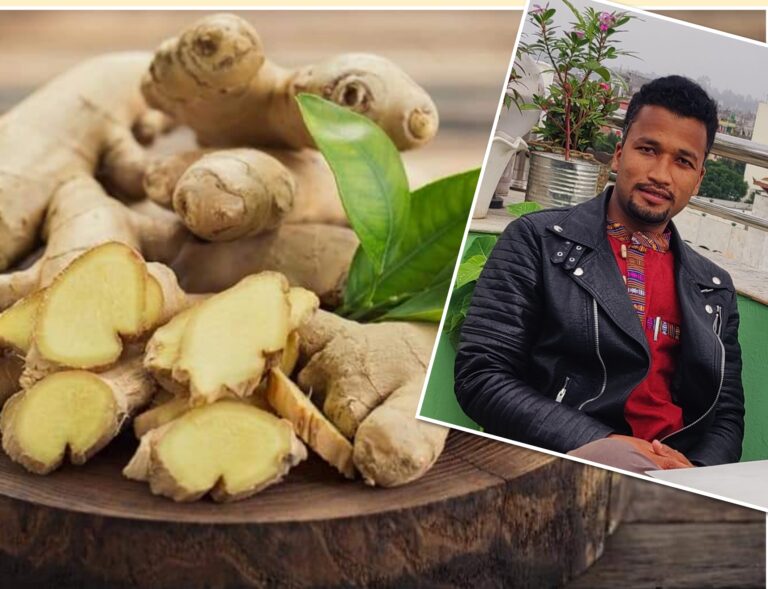Read more about the article अदुवाको महत्व, ग्रेडिङ्ग र सुठो बनाउने तरिका